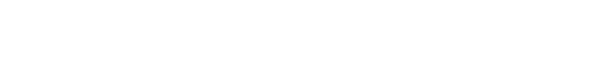 Die Planschis